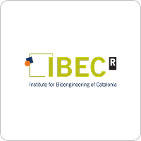 5.IBEC